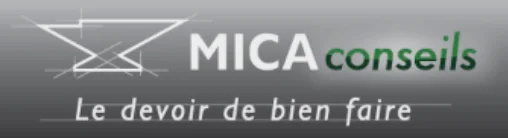 Mica Conseils